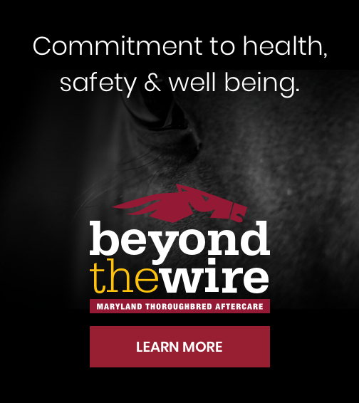 Beyond the wire ad